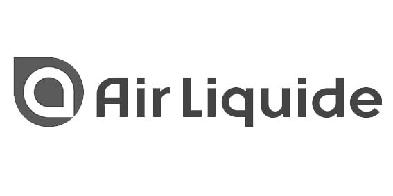 AIR LIQUIDE Cas Client - Micropole Cabinet de conseil Data Cloud Digital