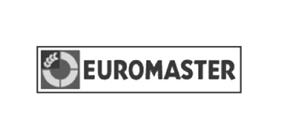 EUROMASTER Cas Client - Micropole Cabinet de conseil Data Cloud Digital