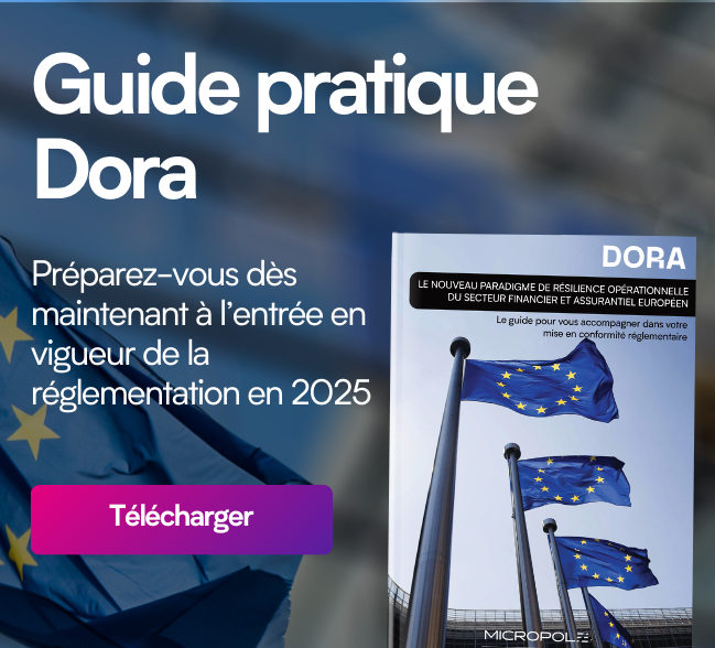 reglementation dora guide pratique de micropole a telecharger